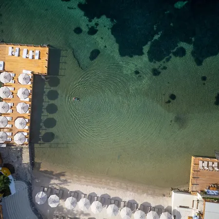 Hotell Avantgarde Refined 5*