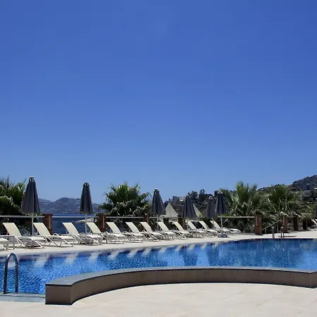 ホテル Avantgarde Refined 5*