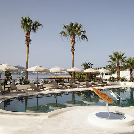 ホテル Avantgarde Refined 5*